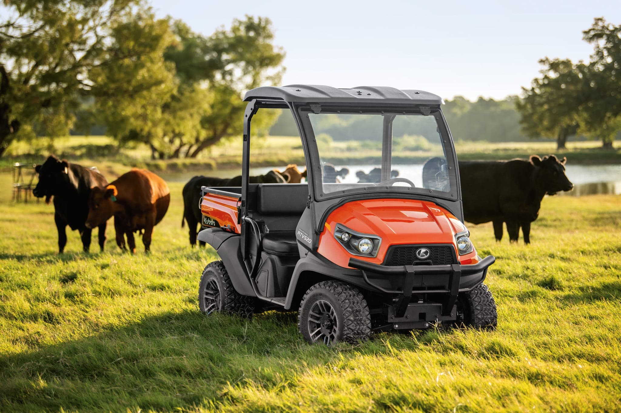 RTV520