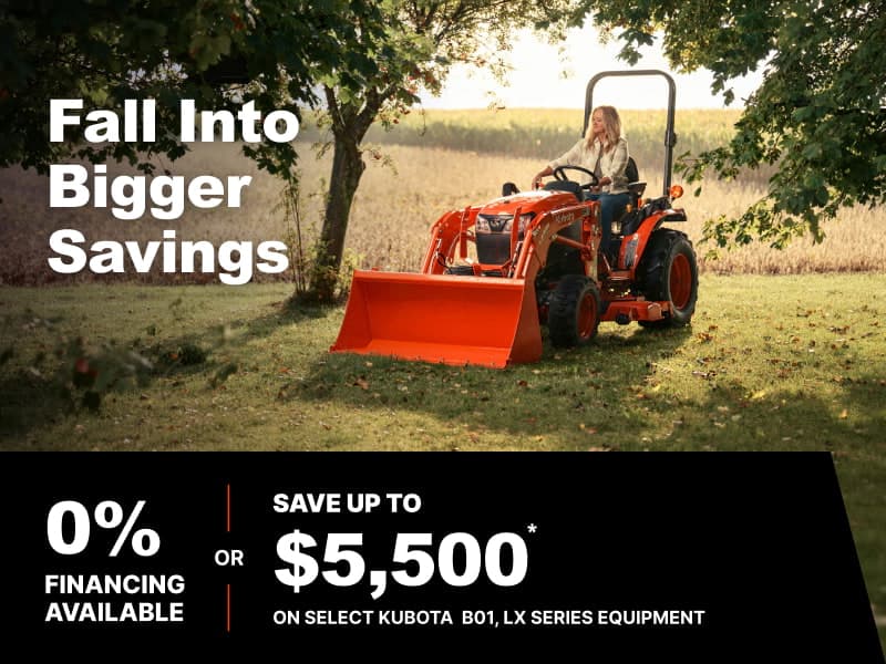 Fall Into Bigger Savings